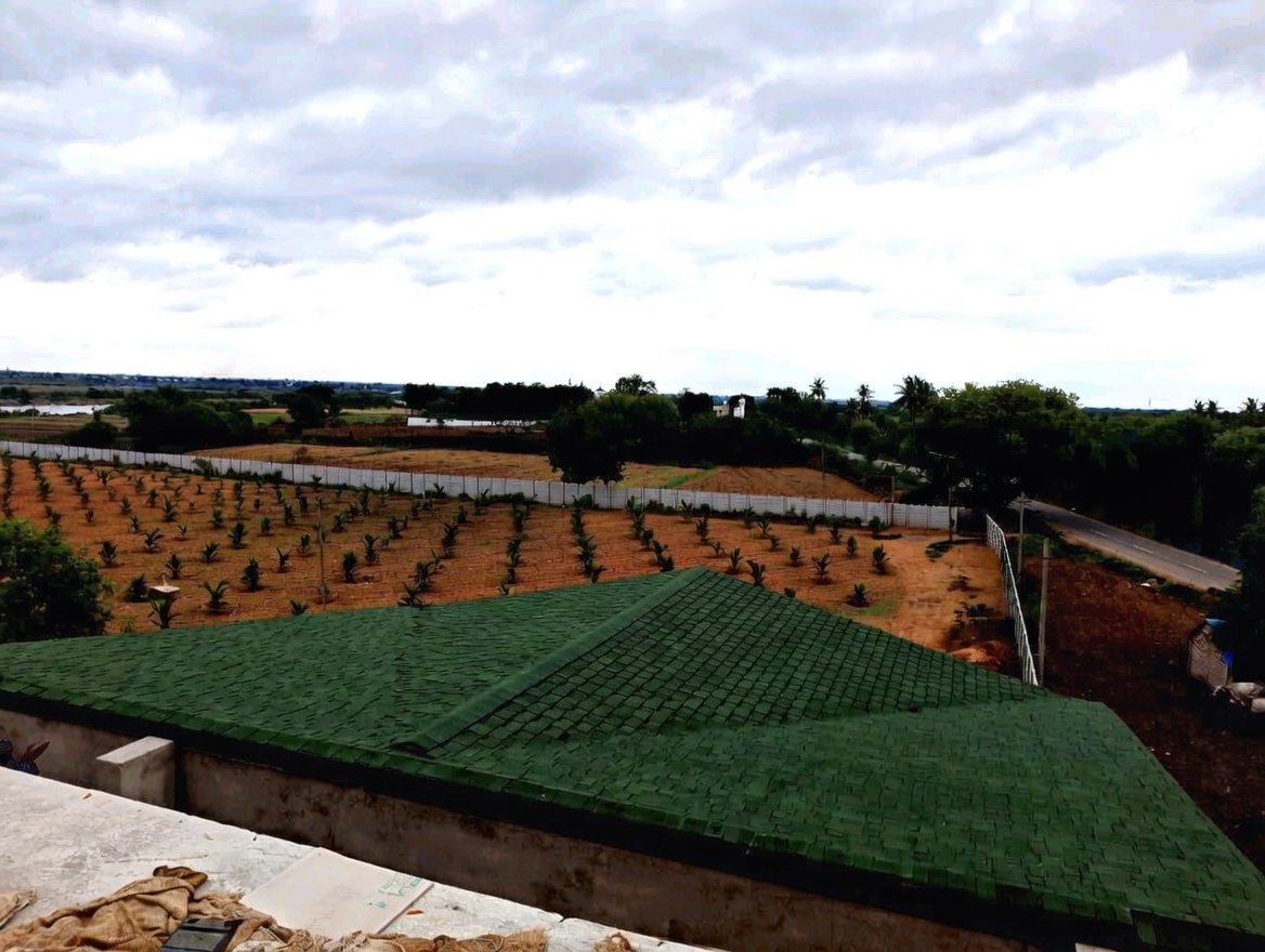 Master J - 070 - 2-Tone Green | Tao Bala Project